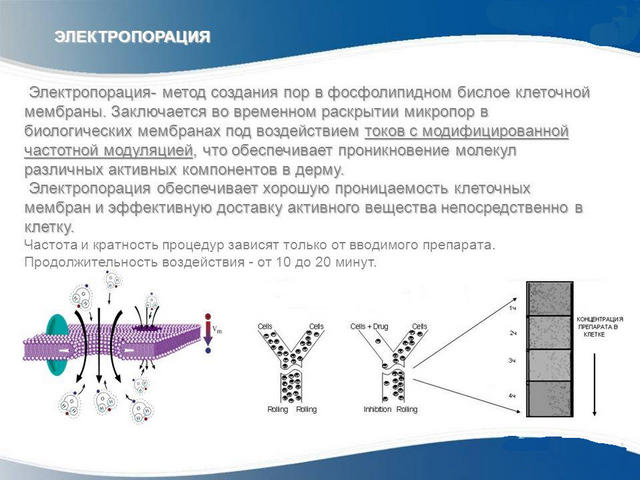 принцип действия электропорации